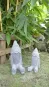 morepic-1